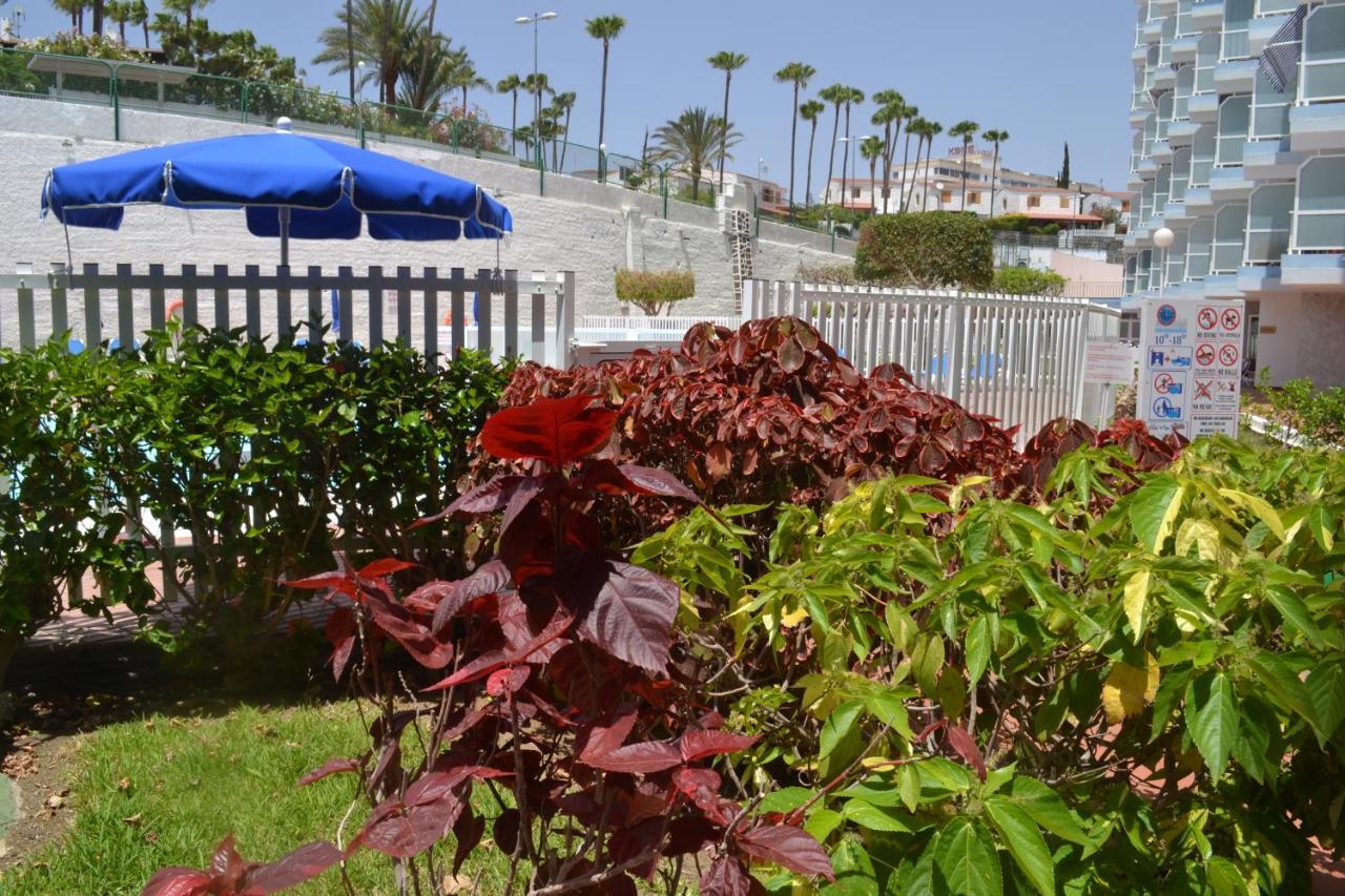 Red Loft Deluxe - Vivienda Vacacional A Playa Del Ingles Playa del Ingles (Gran Canaria) Exterior photo