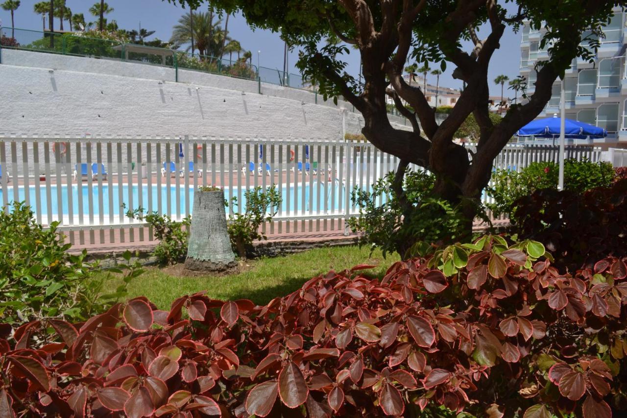 Red Loft Deluxe - Vivienda Vacacional A Playa Del Ingles Playa del Ingles (Gran Canaria) Exterior photo